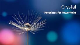  Presentation with parachute - Colorful slides enhanced with abstract-blurred-nature-background-dandelion backdrop and a ocean colored foreground