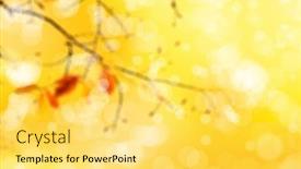  Presentation with abstract leaves - 