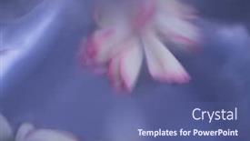  Presentation with floral abstract - Theme having abstract-blurry-floral-nature-background background and a ocean colored foreground