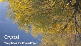 Presentation with gold leaves - Beautiful PPT theme featuring abstract blurry reflections of blue sky and tree with gold leaves in flowing water backdrop and a ocean colored foreground