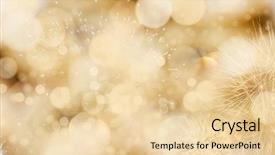  Presentation with fireworks - Colorful slide deck enhanced with bokeh holiday background with fireworks backdrop and a lemonade colored foreground