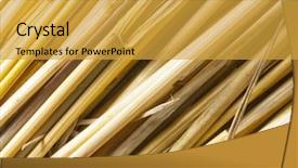  Presentation with straw - PPT layouts featuring brown beighe - close-up of dry straw use background and a yellow colored foreground