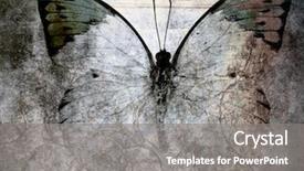  Presentation with butterfly - Amazing theme having abstract butterfly background backdrop and a gray colored foreground