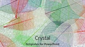  Presentation with abstract leaves - Amazing presentation design having leaf cells green texture closeup - abstract colorful skeleton leaves background backdrop and a mint green colored foreground