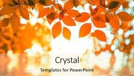  Presentation with abstract leaves - Presentation design having abstract colorful tree - red autumn leaves reflecting background and a  colored foreground