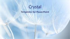  Presentation with soft focus abstract nature - Cool new theme with young man wearing virtual reality backdrop and a coral colored foreground.