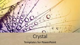  Presentation with soft focus abstract nature - Beautiful PPT theme featuring abstract dandelion flower background seed backdrop and a coral colored foreground