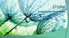  Presentation with soft focus abstract nature - Audience pleasing slides consisting of abstract dandelion flower background seed backdrop and a arctic colored foreground