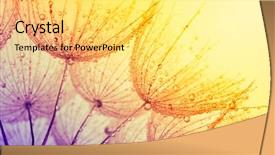  Presentation with dandelion - Beautiful PPT layouts featuring abstract dandelion flower background seed backdrop and a yellow colored foreground