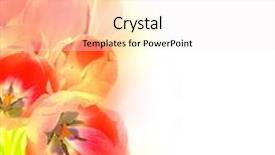  Presentation with card holiday flowers abstract - Audience pleasing PPT layouts consisting of abstract design flowers background - beautiful tulips in artistic style on white holiday card backdrop and a sky blue colored foreground