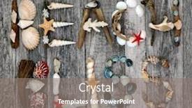  Presentation with rustic wood - Amazing presentation theme having abstract-design-of-driftwood-seashells backdrop and a gray colored foreground