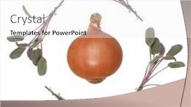  Presentation with sage - Presentation design featuring abstract design of sage herb leaf sprigs forming a border with a spanish onion in the center over white background background and a white colored foreground