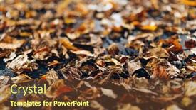  Presentation with illumination - Slide set having abstract-dried-leaves-with-backlight background and a tawny brown colored foreground