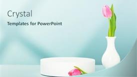  Presentation with blue tulip - Presentation enhanced with abstract-empty-white-podium background and a sky blue colored foreground