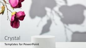  Presentation with magnolia - Slides enhanced with abstract-empty-white-podium background and a light gray colored foreground