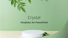  Presentation with abstract leaves - Slide deck having abstract-empty-white-podium background and a mint green colored foreground