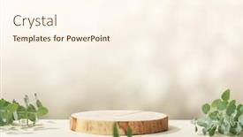  Presentation with abstract leaves - Presentation design enhanced with abstract-empty-wood-slice-podium background and a cream colored foreground