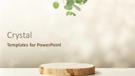  Presentation with abstract leaves - Theme consisting of abstract-empty-wood-slice-podium background and a cream colored foreground