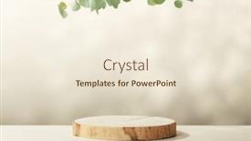  Presentation with eucalyptus leaves - Presentation featuring abstract-empty-wood-slice-podium background and a lemonade colored foreground