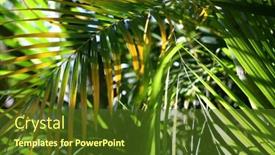  Presentation with fern - Presentation having abstract-fern-background background and a tawny brown colored foreground