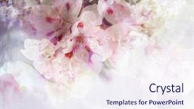  Presentation with red floral - Audience pleasing slide deck consisting of abstract floral background- watercolor grunge backdrop and a sky blue colored foreground