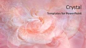  Presentation with floral pastel colors - Presentation design featuring abstract floral background in soft background and a lemonade colored foreground