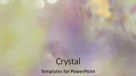  Presentation with floral abstract - Audience pleasing presentation consisting of abstract floral background with blurred backdrop and a mint green colored foreground