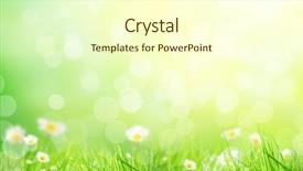  Presentation with floral abstract - Beautiful presentation theme featuring abstract floral background with free backdrop and a cream colored foreground