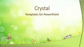  Presentation with floral abstract - Colorful presentation theme enhanced with sunny medow colour butterfly - abstract floral background with free backdrop and a cream colored foreground