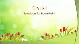  Presentation with floral abstract - Cool new PPT layouts with  backdrop and a  colored foreground