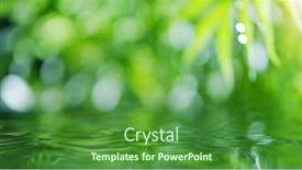  Presentation with floral abstract - Cool new theme with abstract-floral-background-with-water backdrop and a forest green colored foreground