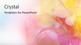  Presentation with color pink - Presentation theme consisting of abstract floral pink - beautiful flowers made with color background and a lemonade colored foreground