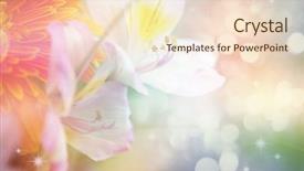  Presentation with floral abstract - Audience pleasing presentation theme consisting of abstract floral pink - beautiful flowers made with color backdrop and a lemonade colored foreground