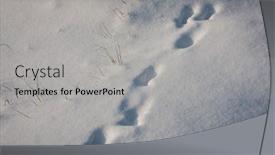  Presentation with footprints - Presentation theme having abstract-footprints-on-show-covered background and a light gray colored foreground