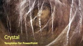  Presentation with abstract green forest - Beautiful presentation theme featuring abstract forest background experimental photography backdrop and a tawny brown colored foreground