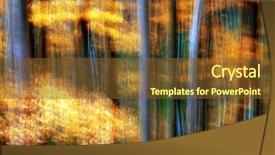  Presentation with forest - Slide deck having abstract forest landscape background and a tawny brown colored foreground