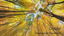  Presentation with autumn - Presentation design consisting of abstract frame - autumn forest nature composition background and a gold colored foreground