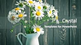  Presentation with vintage floral - Slides enhanced with abstract frame - summer floral card with chamomile background and a gray colored foreground