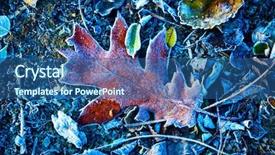  Presentation with oak - Slide set consisting of abstract frozen autum oak leaf background and a ocean colored foreground