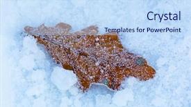  Presentation with oak - Theme with abstract frozen oak leaf background and a sky blue colored foreground