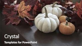  Presentation with gold leaves - PPT theme consisting of abstract gold - autumn still life with pumpkins background and a  colored foreground