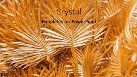  Presentation with gold design - Slide set with abstract-golden-palm-leaf-decoration background and a gold colored foreground