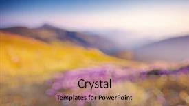  Presentation with blurred flowers - Slide set enhanced with abstract greay clor - great view of the magic background and a coral colored foreground