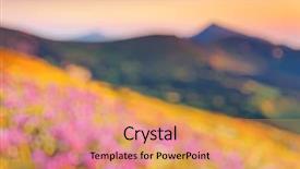  Presentation with blurred flowers - Beautiful presentation design featuring abstract greay clor - great view of the magic backdrop and a yellow colored foreground