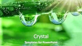  Presentation with dew - Cool new slides with abstract green background - fresh grass with dew drops backdrop and a shamrock green colored foreground