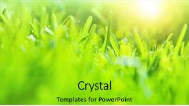  Presentation with abstract spring green - Cool new slide deck with blooming field on sunset rural backdrop and a coral colored foreground