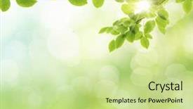  Presentation with green nature - PPT layouts with abstract green natural background background and a mint green colored foreground