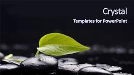  Presentation with psycho therapy - Amazing presentation theme having abstract green whiteblack background - spring leaf with therapy stones backdrop and a wine colored foreground