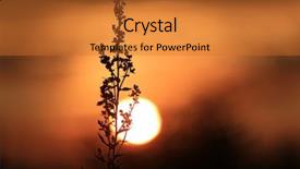  Presentation with abstract purple curved - Colorful PPT theme enhanced with abstract herb on sunset background backdrop and a  colored foreground