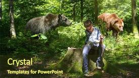  Presentation with woods - Colorful theme enhanced with free scout - abstract image of a boy backdrop and a tawny brown colored foreground